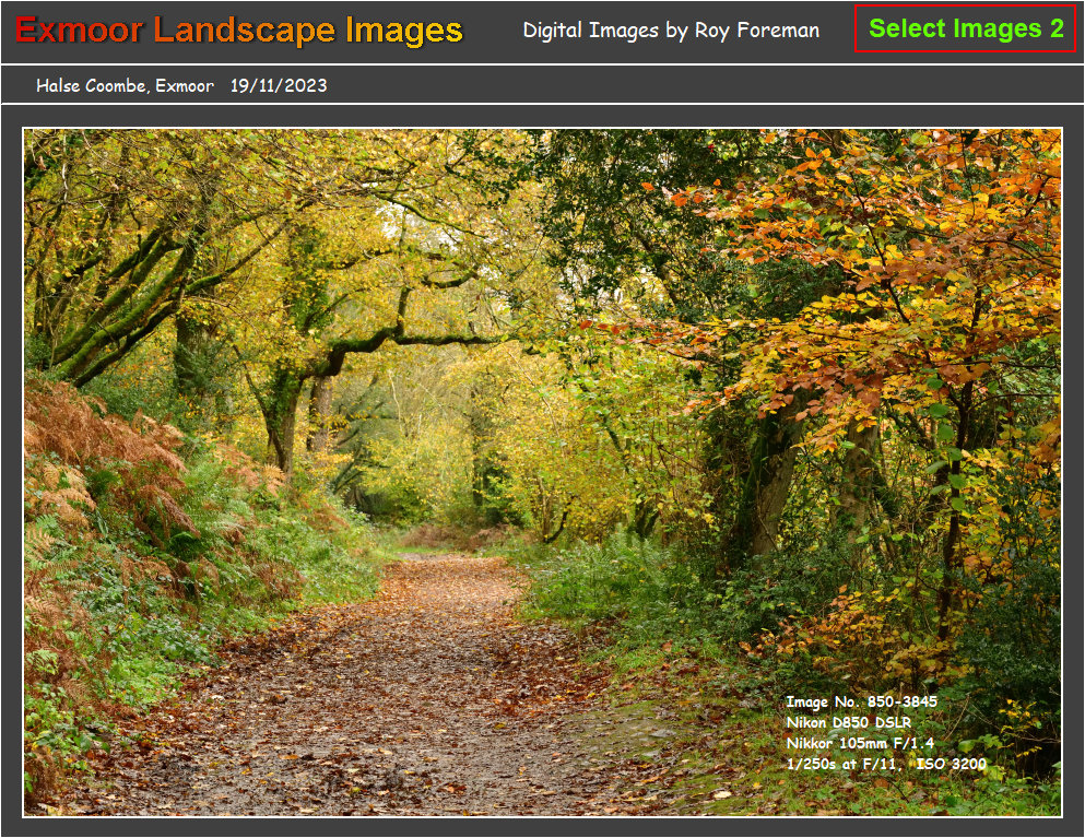 exmoor_images_g0096001.jpg