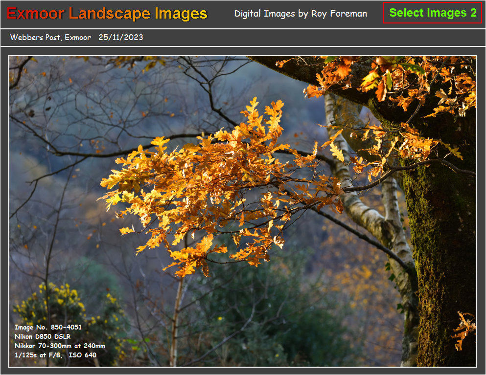 exmoor_images_g0105001.jpg