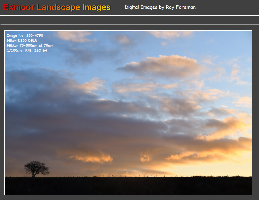exmoor_images_g03014002.jpg